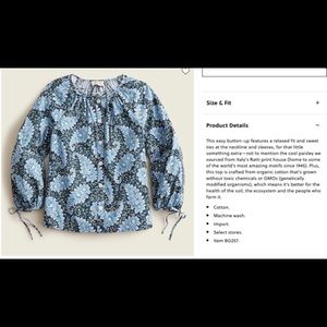 J Crew Paisley Blouse